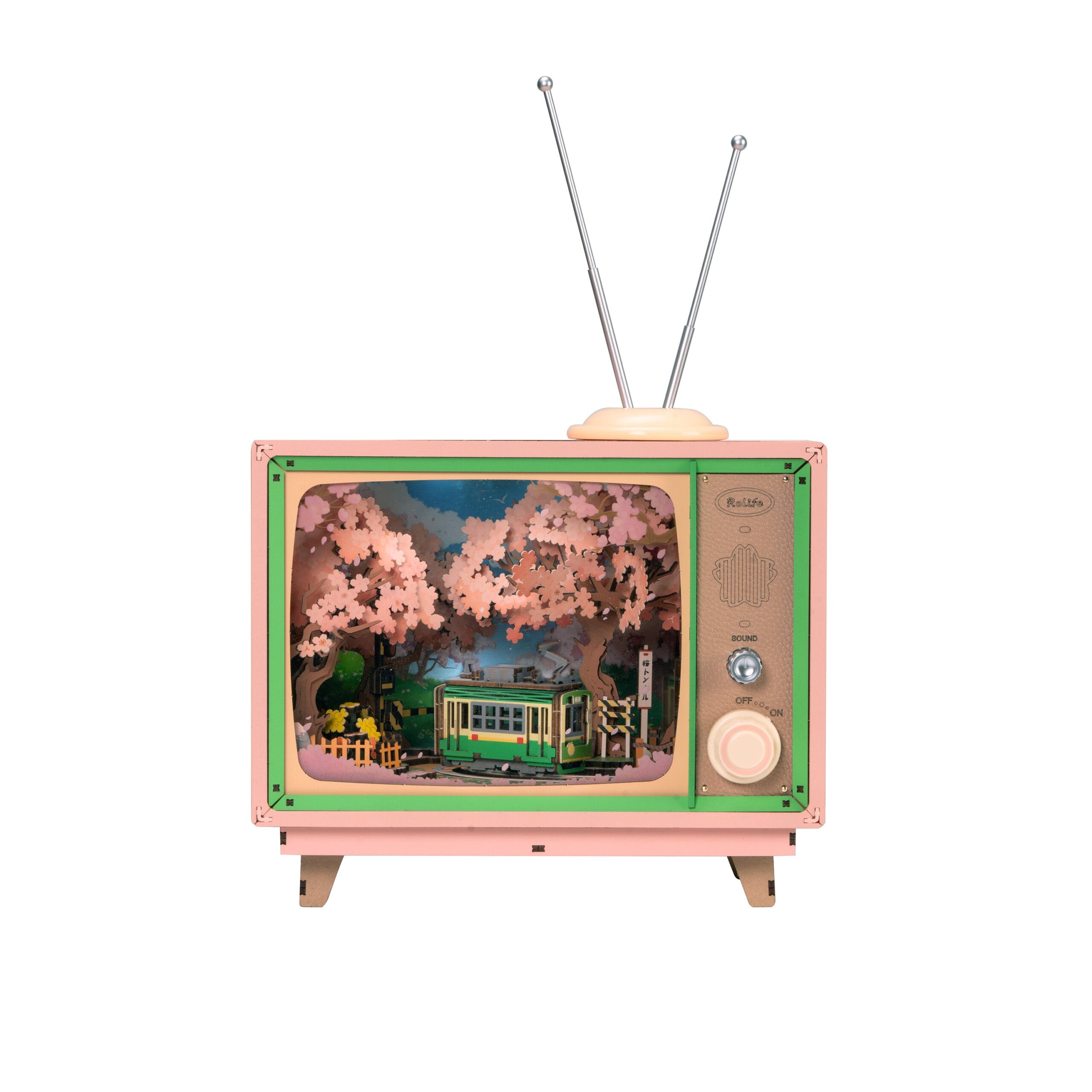 Storm Time Store | Sakura Dreamy Tour