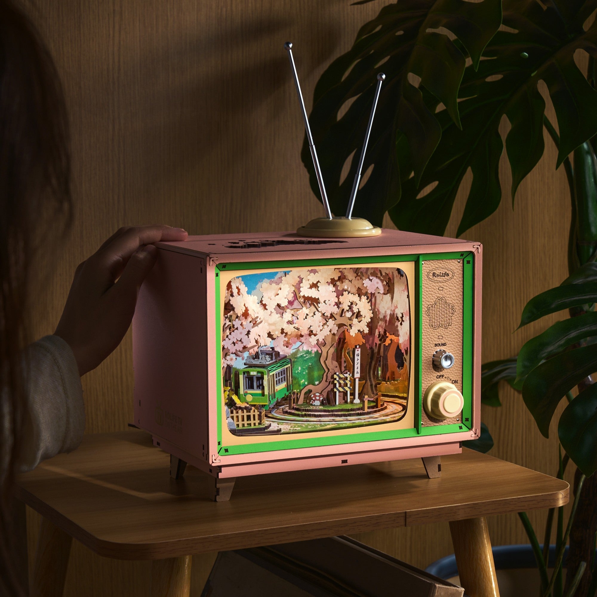 Storm Time Store | Sakura Dreamy Tour - Image 3