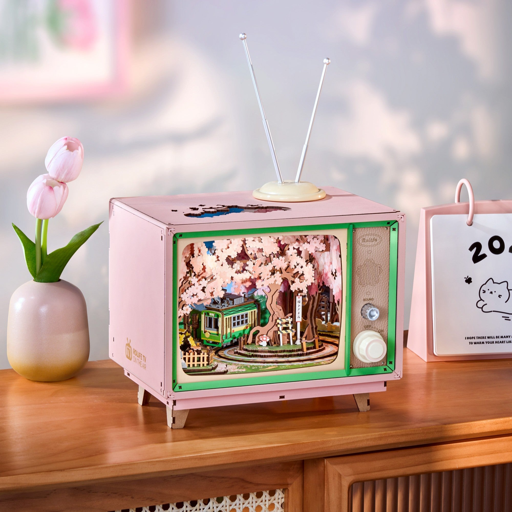 Storm Time Store | Sakura Dreamy Tour - Image 5