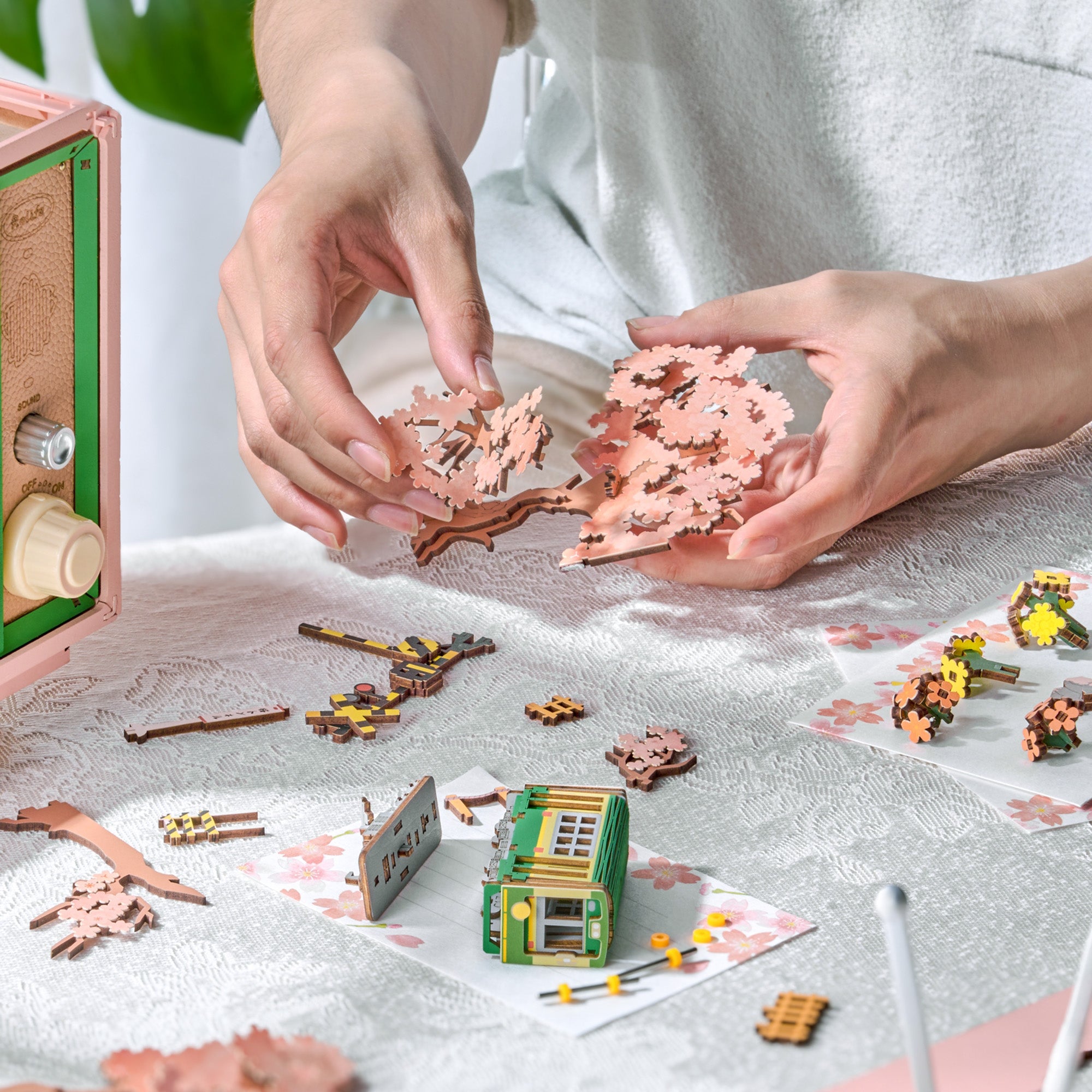 Storm Time Store | Sakura Dreamy Tour - Image 6