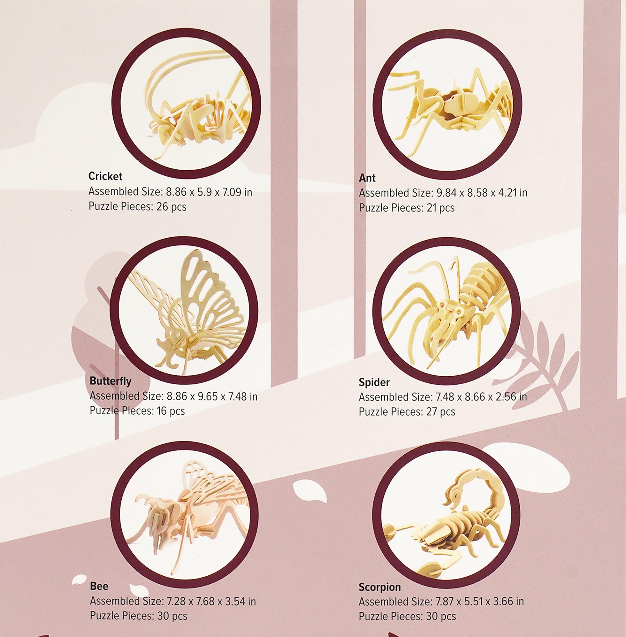 Storm Time Store | Insects and Arachnids - Image 3