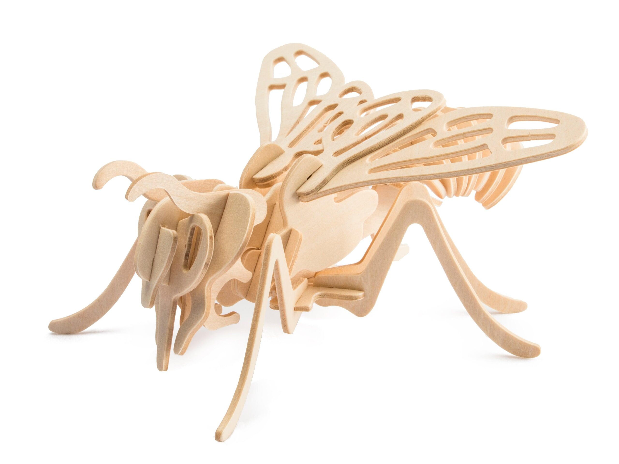 Storm Time Store | Insects and Arachnids - Image 9