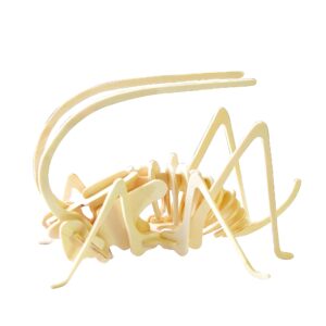 Storm Time Store | Cricket