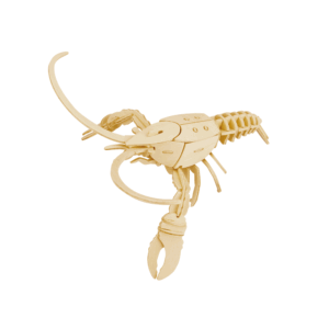 Storm Time Store | Lobster