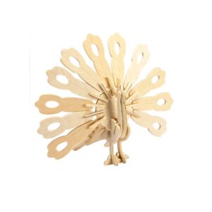 Storm Time Store | Peacock