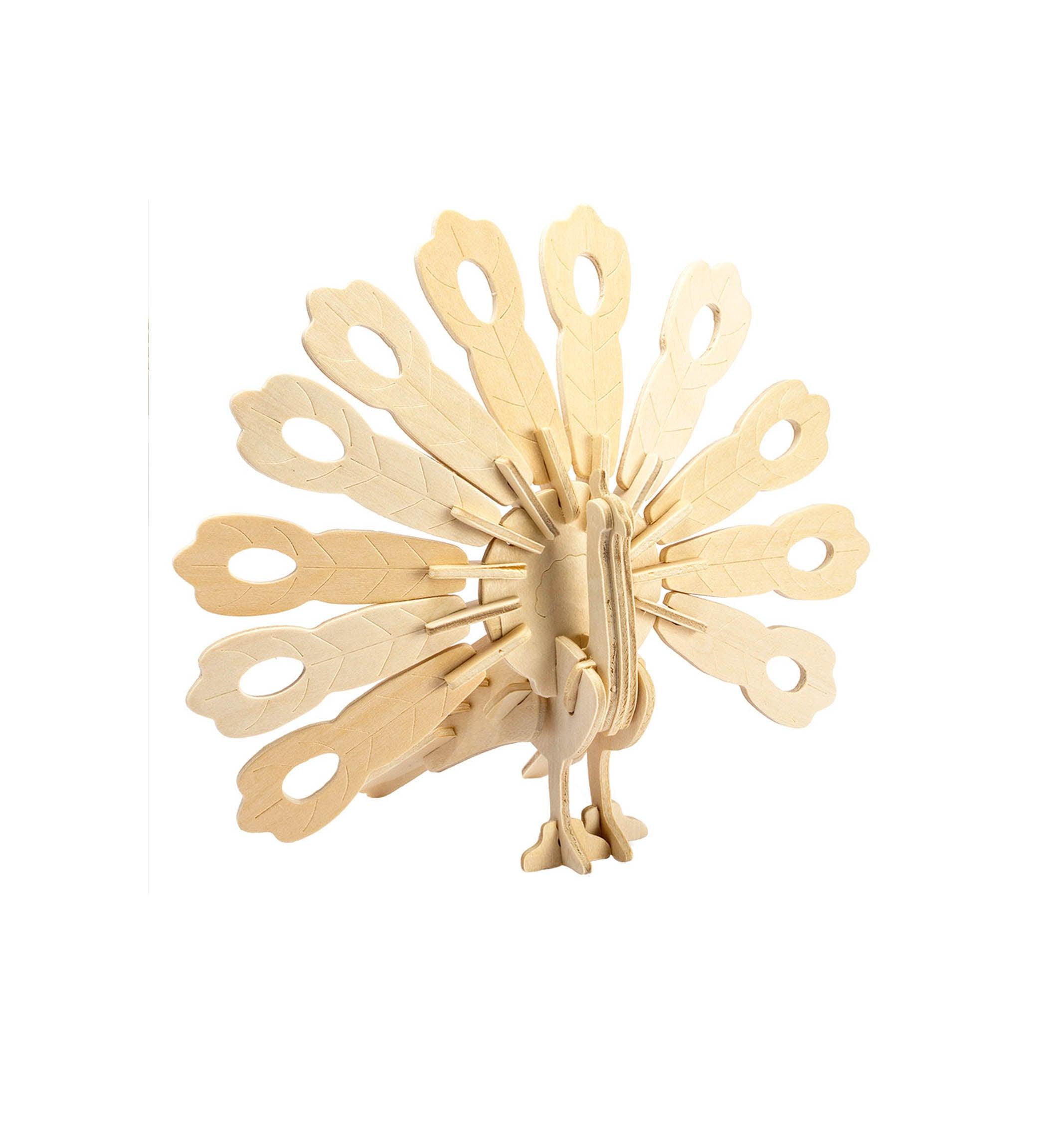 Storm Time Store | Peacock