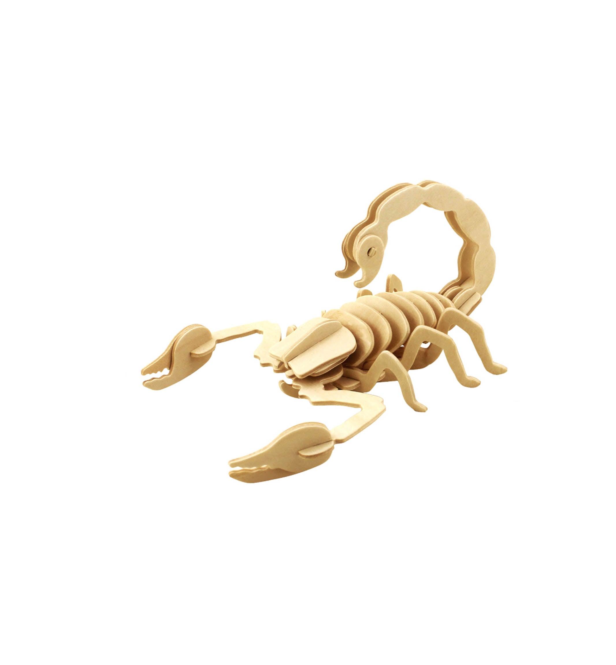 Storm Time Store | Scorpion