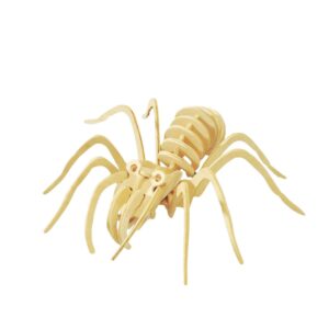 Storm Time Store | Spider