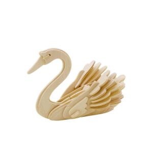 Storm Time Store | Swan