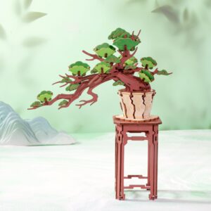 Alternative view of Storm Time Store | Evergreen Pine Bonsai