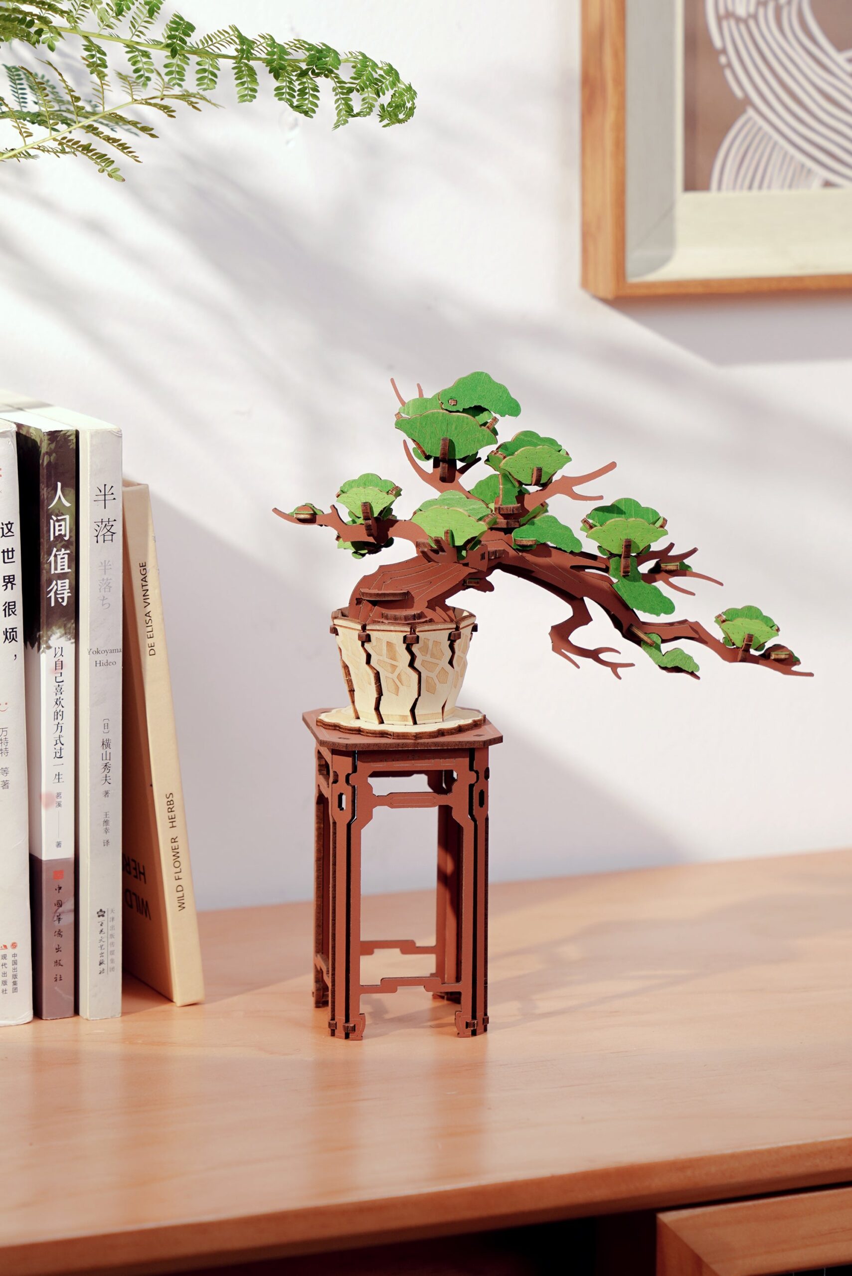 Storm Time Store | Evergreen Pine Bonsai - Image 3