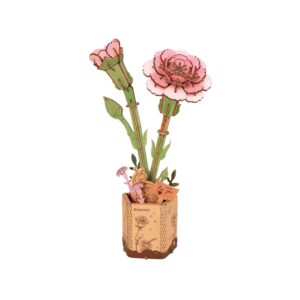 Storm Time Store | Pink Carnation