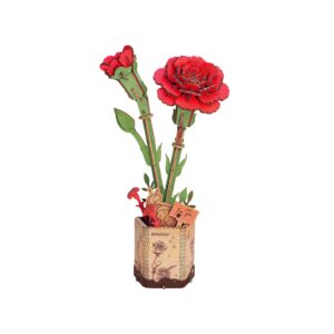 Storm Time Store | Red Carnation