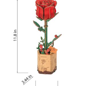 Alternative view of Storm Time Store | Red Rose