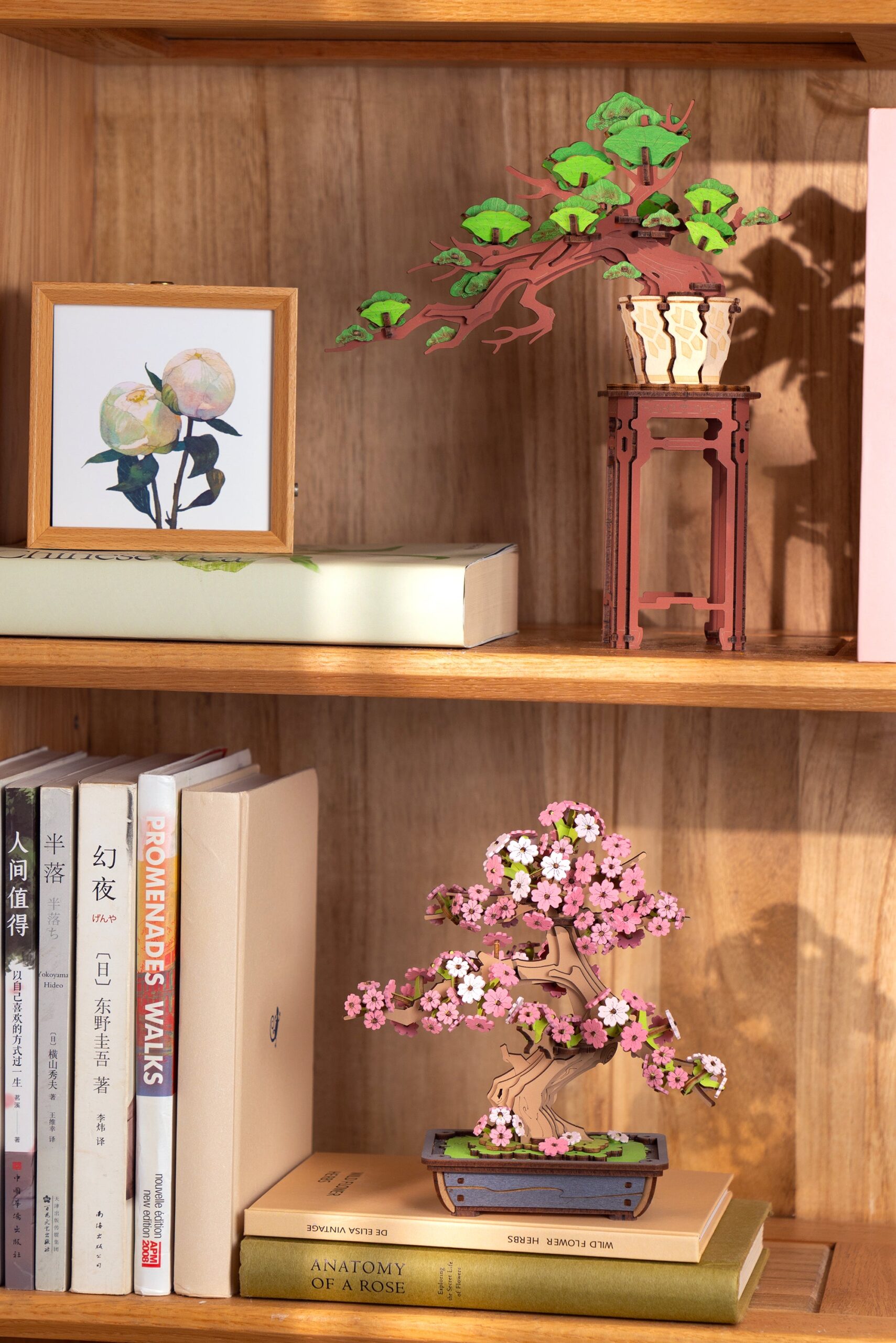 Storm Time Store | Sakura Bonsai - Image 5