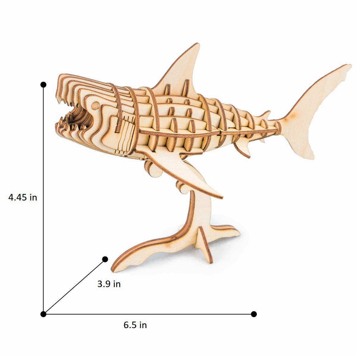 Storm Time Store | Sea Animals (3-Pack) - Image 6