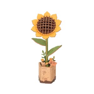 Storm Time Store | Sunflower