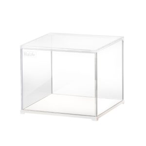Storm Time Store | Plastic Display Case