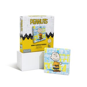 Storm Time Store | Peanuts® Charlie Brown