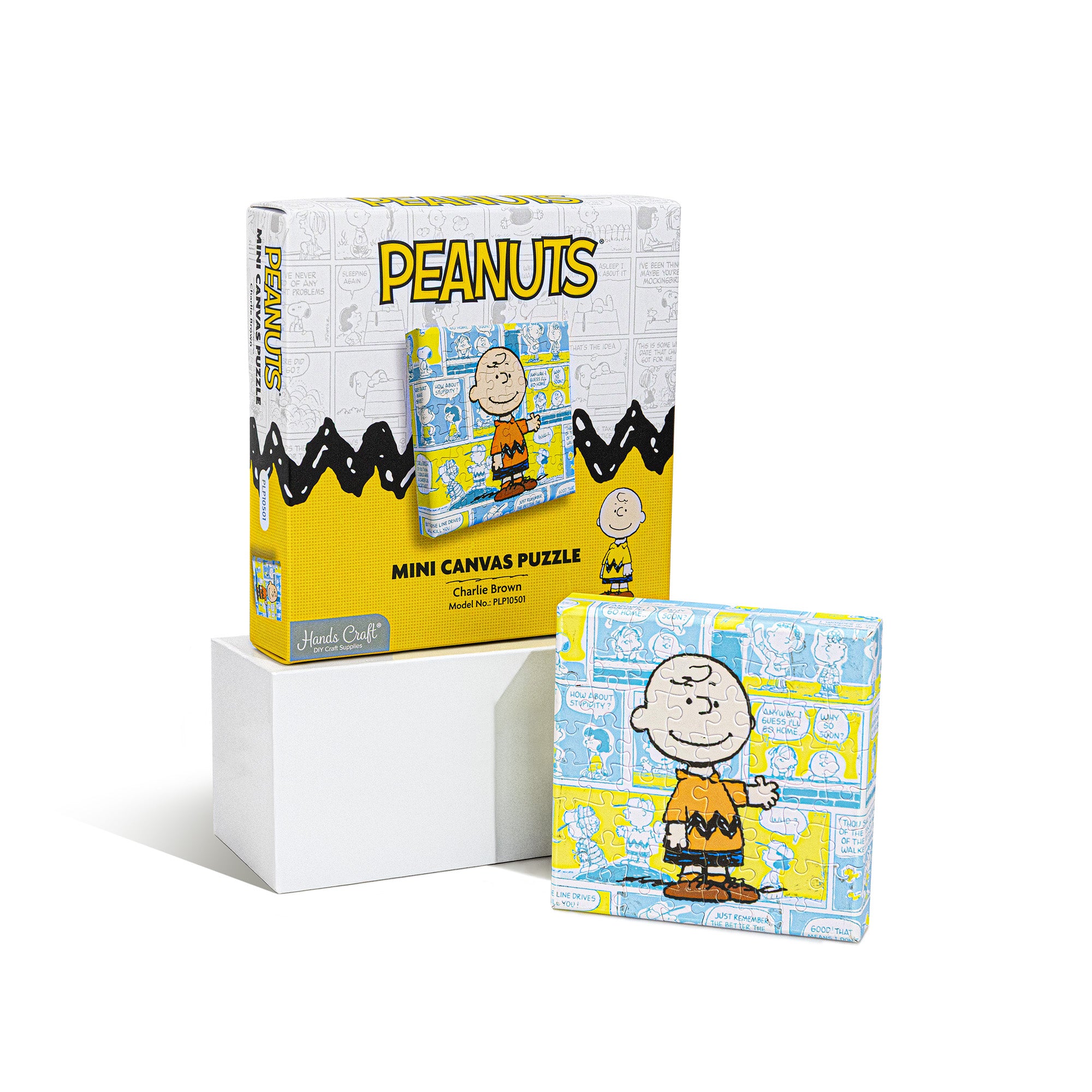 Storm Time Store | Peanuts® Charlie Brown